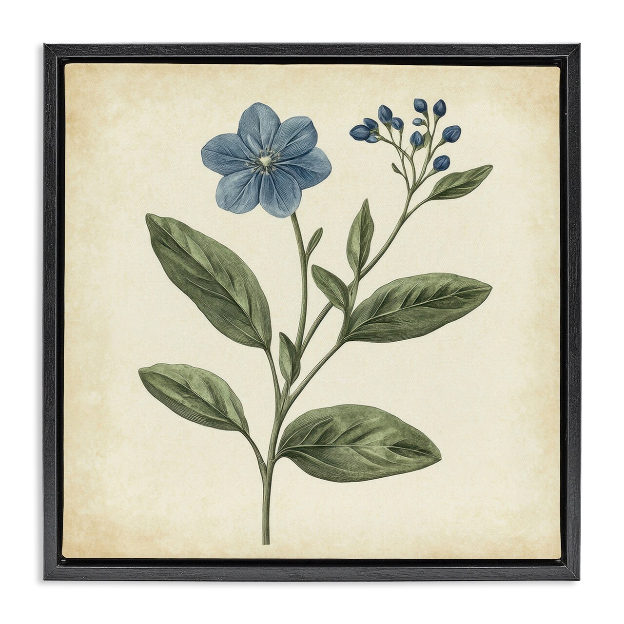 Stupell Industries Vintage Blue Blossoms Wildflower Floating Frame, design by Petal Prints Design